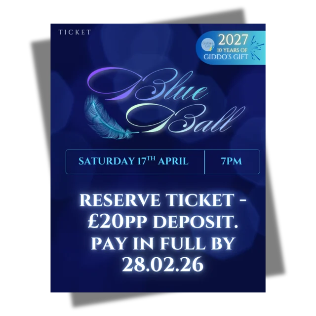 Blue Ball 2027: £20 deposit