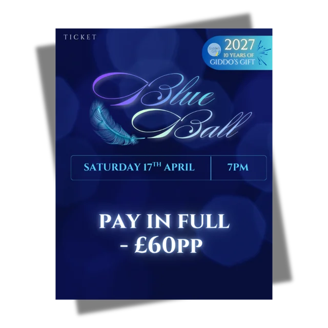 Blue Ball 2027: full ticket
