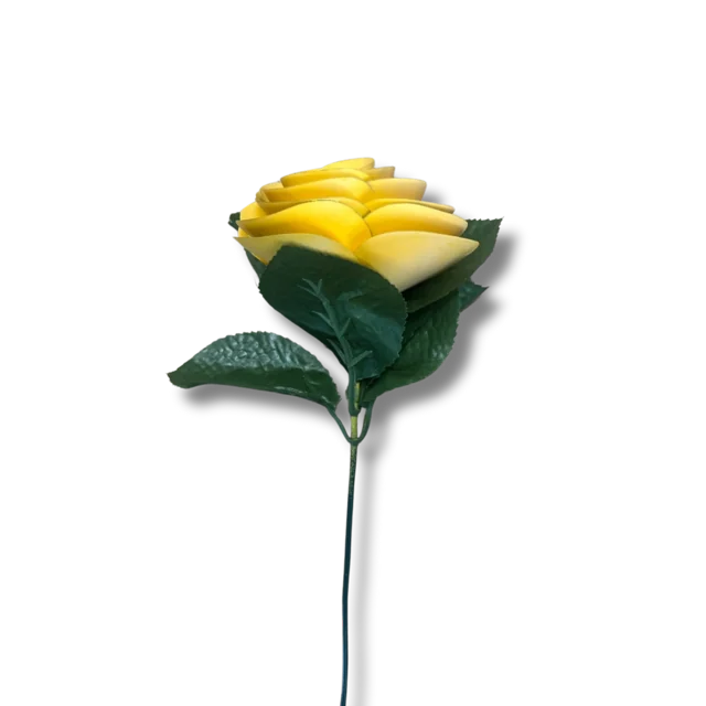 Memory rose